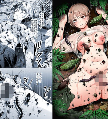【てるてるがーる❤異物挿入】異物｜評価5.00
